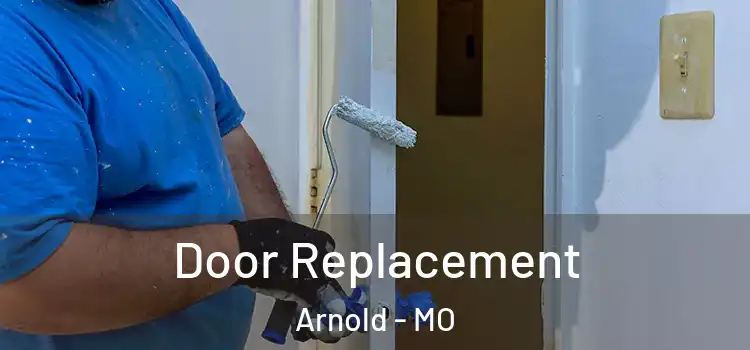  Door Replacement Arnold - MO