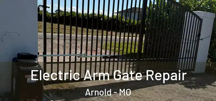 Electric Arm Gate Repair Arnold - MO