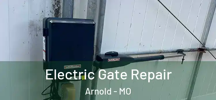  Electric Gate Repair Arnold - MO