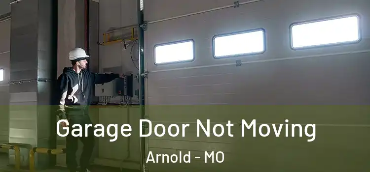  Garage Door Not Moving Arnold - MO