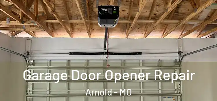  Garage Door Opener Repair Arnold - MO