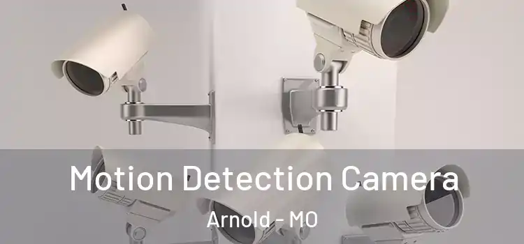  Motion Detection Camera Arnold - MO